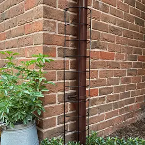 Metal Tube Trellis Semi Circular for Drainpipes (Set of 2)