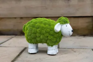 Moss Effect Sheep Garden Ornament