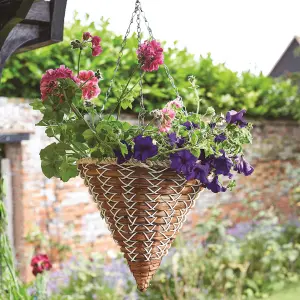 Smart Garden Country braid Natural Cone Hanging basket, 35cm