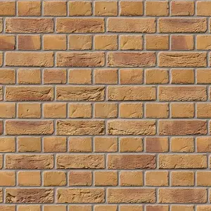 Ibstock Bradgate Golden Purple Brick 65mm Mini Pack 250