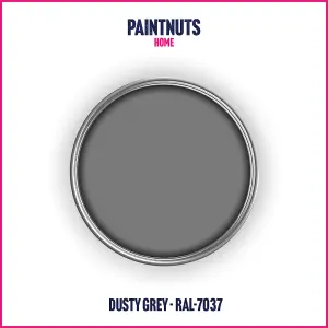 PaintNuts UPVC Door & Window Satin Paint - Dusty Grey - 400ml Spray Can (RAL7037)