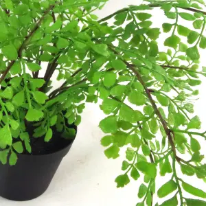 35cm Artificial Potted Fern Plant (Southern Maidenhair Fern)