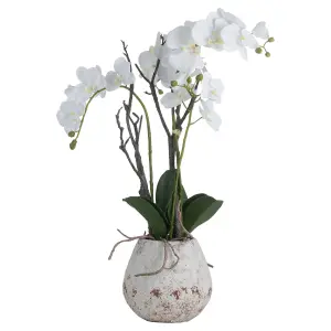 UK Homeliving White Orchid In Stone Pot