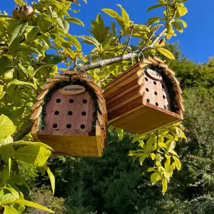 Wooden Hanging Ladybird & Insect House (Set of 2)