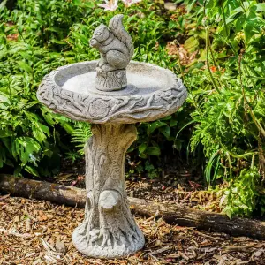 Stone cast Birdbath with Squirrel