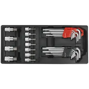 29 Piece Premium Hex Key and Socket Bit Set with Modular Tool Tray for Professionals