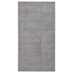 Modern Rug Short Pile 80x150 cm Grey