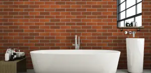 Ibstock Alderley Russett Blend Brick 65mm Mini Pack 250