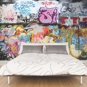 Origin Murals Graffiti Street Art Matt Smooth Paste the Wall Mural 300cm wide x 240cm high