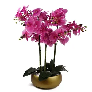 60cm Orchid Purple - Gold Ceramic Planter