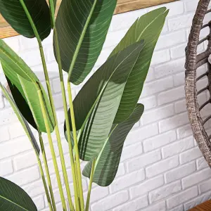 Alfresia Artificial Plant, Wide Leaf, Indoor or Outdoor Use