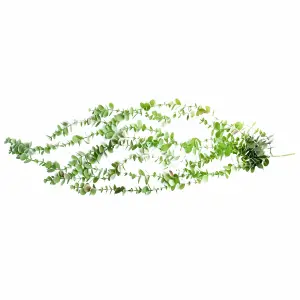 80cm Artificial Trailing Green Eucalyptus Plant Realistic