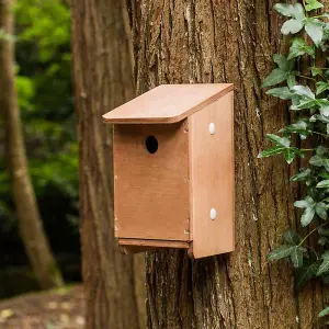 Tree Sparrow Nest Box - Plywood - L17 x W13 x H24 cm