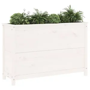 Berkfield Garden Raised Bed White 119.5x40x78 cm Solid Wood Pine