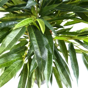 Realistic Artificial Tree Longifolia Ficus Natural Trunk