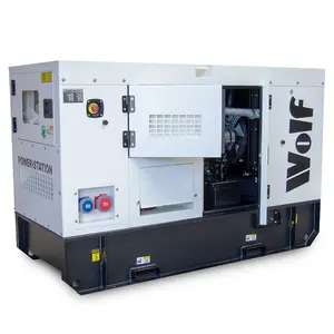 Diesel Generator Set Wolf Contractor 44kVA 35.2kW 415v 3 Phase Water-Cooled 58HP