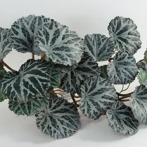 6 x 50cm Artificial Trailing Begonia Plant