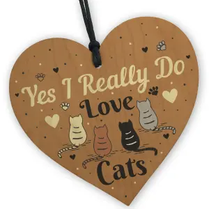 Red Ocean Cat Signs And Plaques For Home Wood Heart Cat Sign For Home Funny Cat Sign Pet Gift Cat Lover Gifts For Women Men