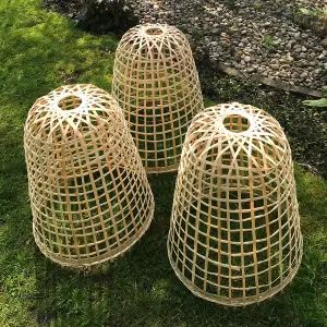 GardenSkill Bamboo Bell Cloche & Decorative Garden Plant Cover 50cm H, Pk of 3