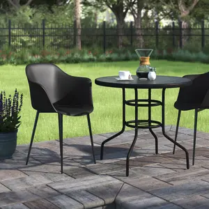 Alonzo Patio Dining Armchair (Set of 2) Black