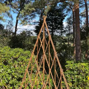 Pair of Expanding Willow Garden Obelisks (1.5m)