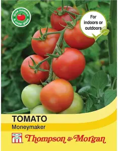 Tomato Moneymaker 1 Seed Packet (50 Seeds)