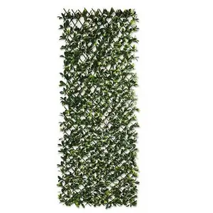 Plastic Wall Trellis Expanding Plant Climbing Vine Garden PVC Fence 200 x 100cm