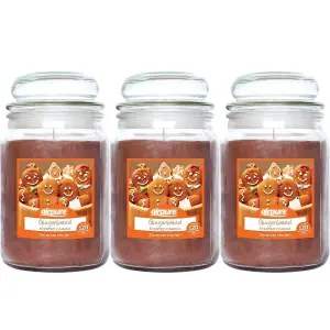 Airpure Scented Candle Jar Gingerbread Fragrance 510gm x 3