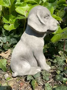 Sitting Puppy Dog Stone Statue Outdoor British Made Garden Ornament Puppy Dog