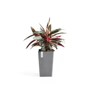 Rotterdam Medium Tall Vase Ecopots