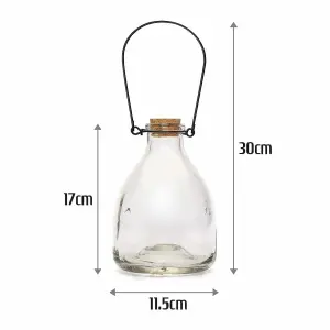 Set of 2 Double Pack Wasp Catcher Glass Traditional Outdoor Garden Pest Control Hanging Insect Trap