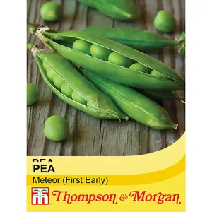 Pea Meteor 1 Seed Packet (250 Seeds)