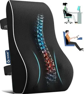 QUTOOL Lumbar Support Pillow For Office Chair Car Memory Foam Back Cushion For Back Large Back Pillow For Computer, Gaming Chair, Recliner Double