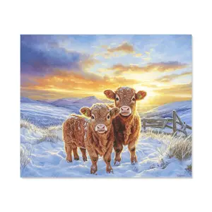 Snowy Baby Highland Cows Kitchen Splashback