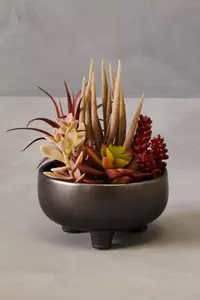 Fiori Mixed Succulents In Grey Ceramic Pot Artificial Plant Foliage