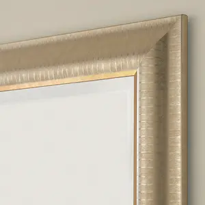 Abbeyville Framed Wall Mounted Accent Mirror Champagne / 168.5cm H x 77cm W