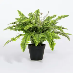 Blooming Artificial - 50cm Faux Boston Fern - Fake House Plant Green Indoor