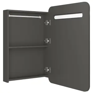 Berkfield LED Bathroom Mirror Cabinet Anthracite 60x11x80 cm