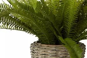 Fiori Boston Fern Succulent Artificial Plant Foliage