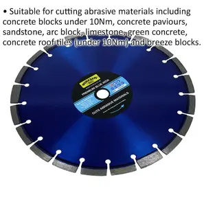 Premium 300mm Diamond Cutting Blade for Abrasive Materials