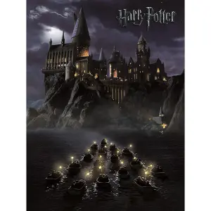 Harry Potter Hogwarts Canvas Print Grey (50cm x 40cm)