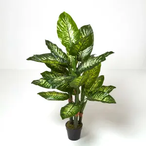 Homescapes Dieffenbachia Dumb Cane Plant in Pot, 150 cm Tall