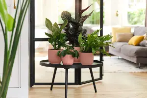 Vibes Fold Round Medium 18cm Plant Pot Indoor Home Decorative Flower Herb Planter Embossed Design Recycled Plastic Pink