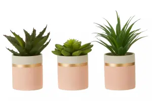 Fiori Set of 3 Pink Pot Succulents Artificial Plant Foliage