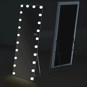 Moncerrad Metal Rectangle LED Floor Mirror