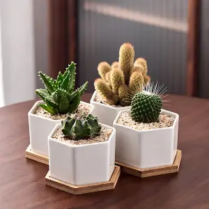 simpa 6PC White Hexagonal Ceramic Plant Pots with Bamboo Base