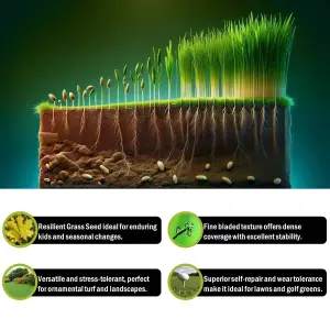 Pegdev - PDL - Hardwearing Grass Seed - Resilient Lawn Solution - High-Yield Variety for Gardens & Parks (1kg)