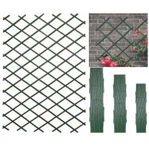 Plastic Wall Trellis Expanding Plant Climbing Vine Garden PVC Fence 200 x 100cm