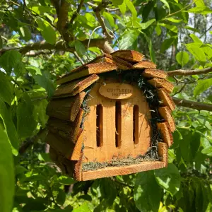 Wooden Solitary Bee Hive Hotel Habitat & Hanging Butterfly House