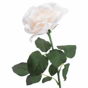 UK Homeliving Large White Garden Rose